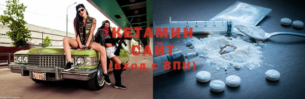 сатива Аркадак