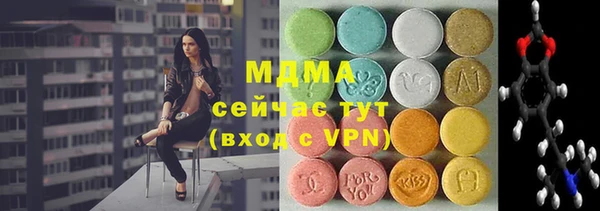сатива Аркадак