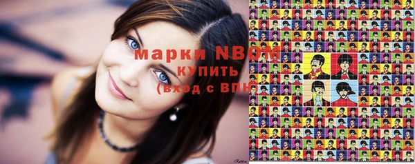 сатива Аркадак