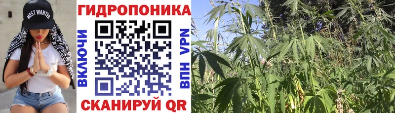 МАРИХУАНА планчик Сольвычегодск